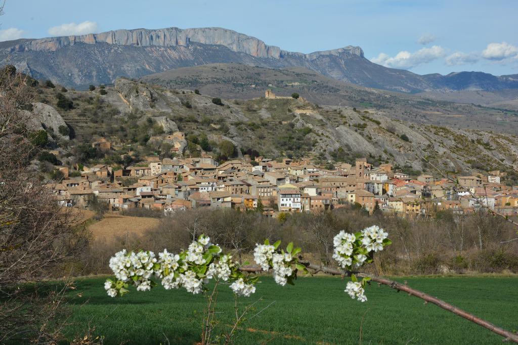 Apartamentos Turisticos Can Rocamora Aren Kültér fotó